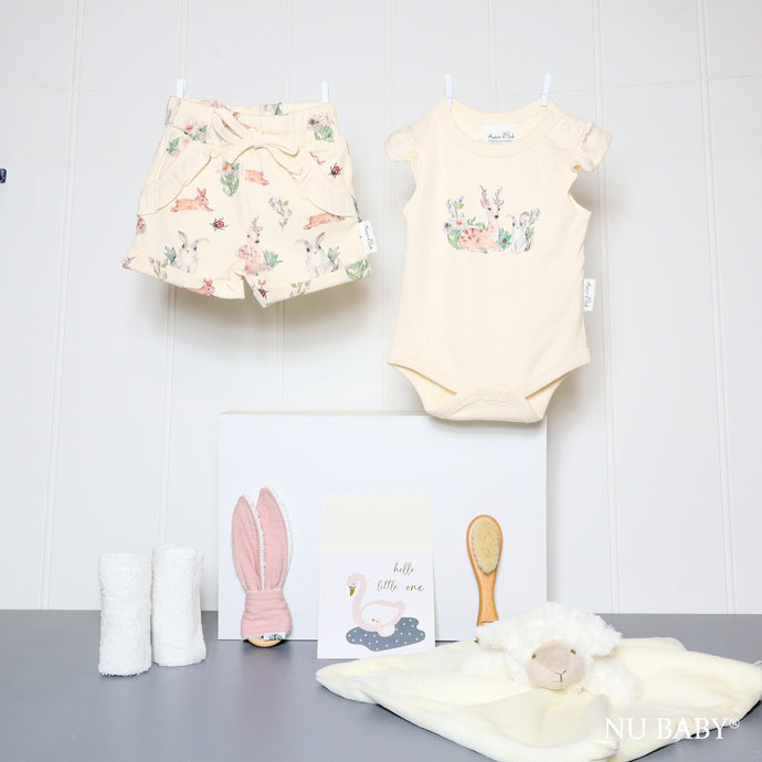 Baby Girl Prairie Hamper - Baby Gift Sets