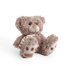 Load image into Gallery viewer, Elliot Teddy Bears - Baby Toys &amp; Activity Equipment
